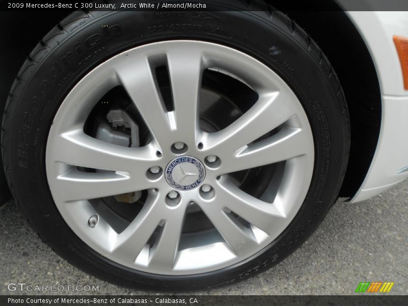 Arctic White / Almond/Mocha 2009 Mercedes-Benz C 300 Luxury