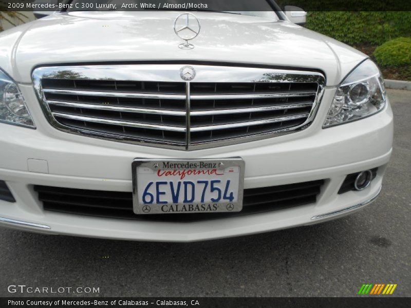 Arctic White / Almond/Mocha 2009 Mercedes-Benz C 300 Luxury