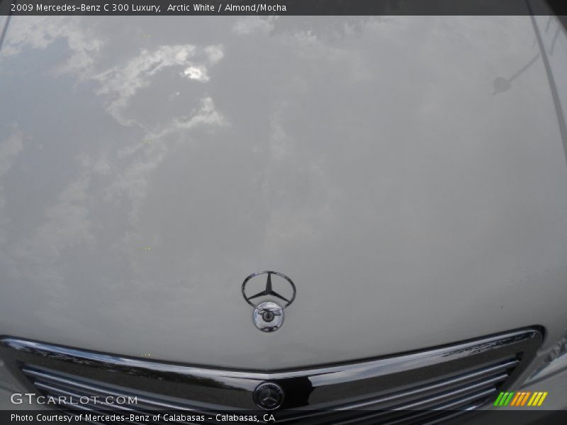 Arctic White / Almond/Mocha 2009 Mercedes-Benz C 300 Luxury