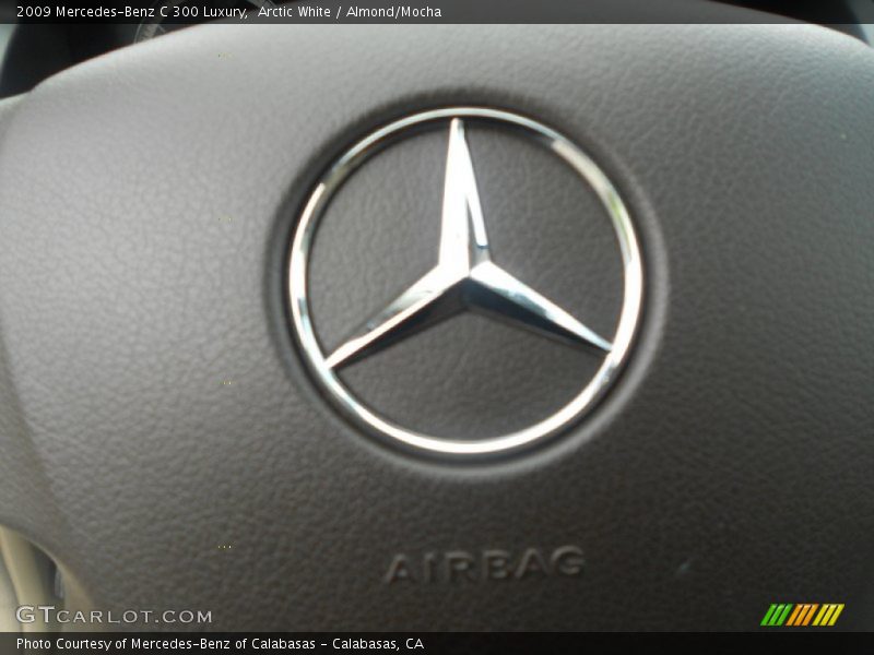 Arctic White / Almond/Mocha 2009 Mercedes-Benz C 300 Luxury