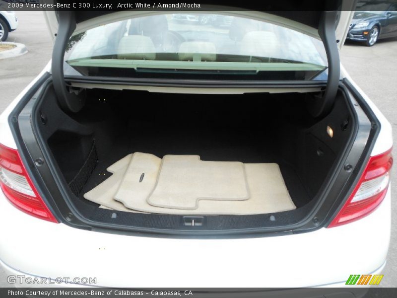 Arctic White / Almond/Mocha 2009 Mercedes-Benz C 300 Luxury