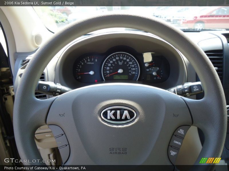 Sunset Gold / Beige 2006 Kia Sedona LX