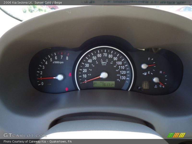 Sunset Gold / Beige 2006 Kia Sedona LX