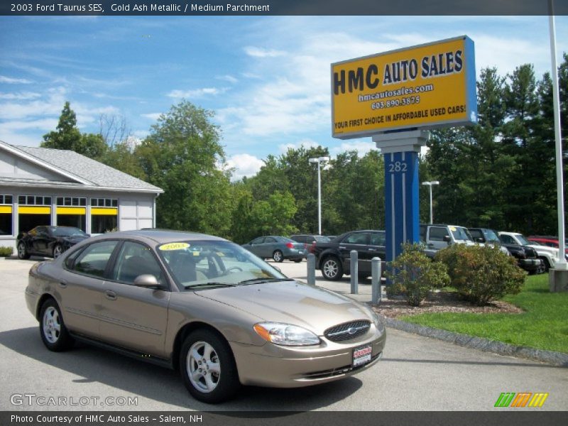 Gold Ash Metallic / Medium Parchment 2003 Ford Taurus SES