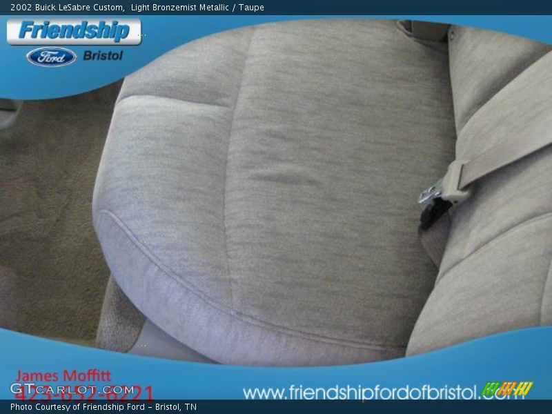 Light Bronzemist Metallic / Taupe 2002 Buick LeSabre Custom