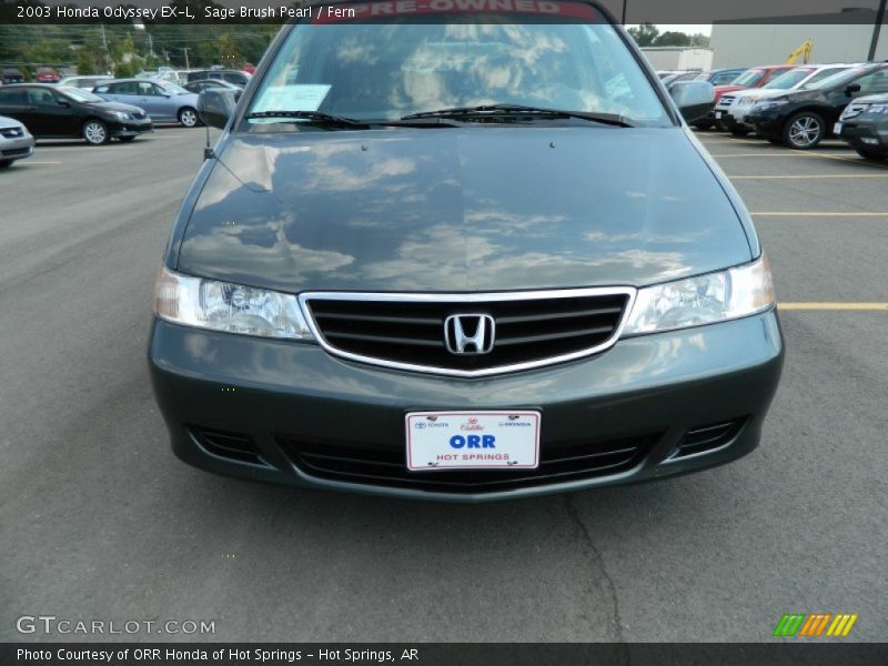 Sage Brush Pearl / Fern 2003 Honda Odyssey EX-L