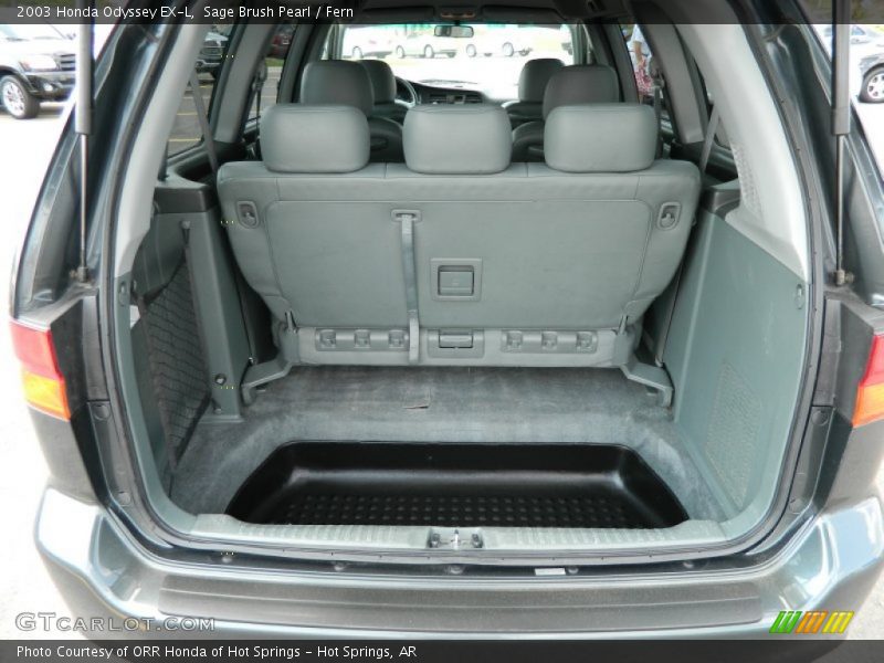 Sage Brush Pearl / Fern 2003 Honda Odyssey EX-L