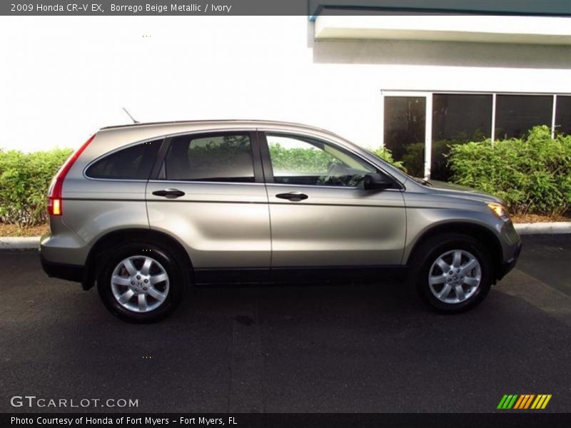 Borrego Beige Metallic / Ivory 2009 Honda CR-V EX