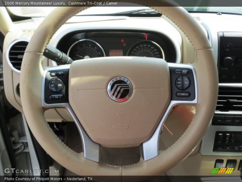  2006 Mountaineer Luxury Steering Wheel