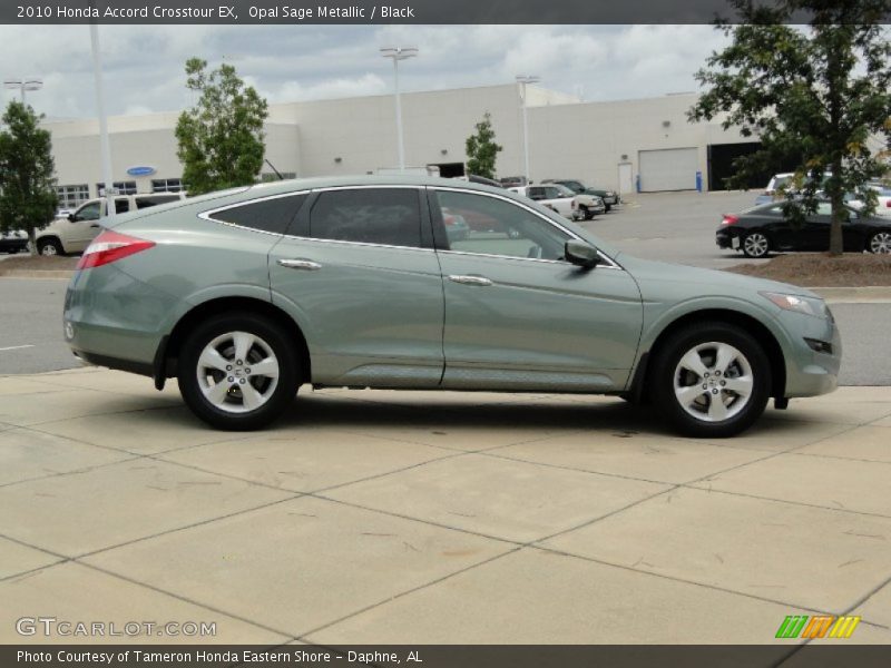 Opal Sage Metallic / Black 2010 Honda Accord Crosstour EX