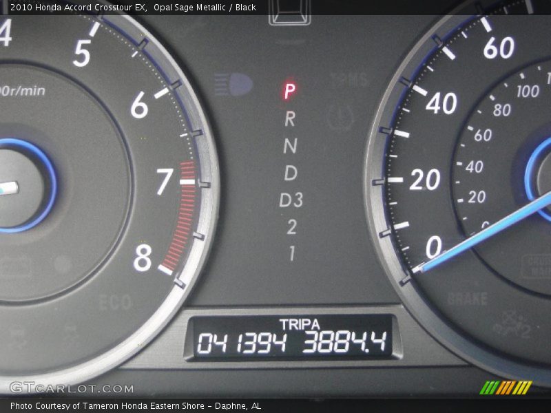 Opal Sage Metallic / Black 2010 Honda Accord Crosstour EX