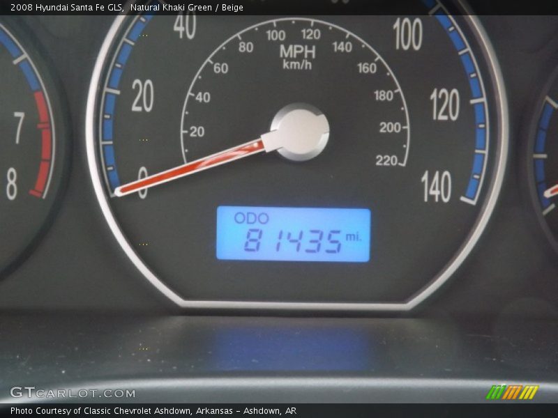 Natural Khaki Green / Beige 2008 Hyundai Santa Fe GLS