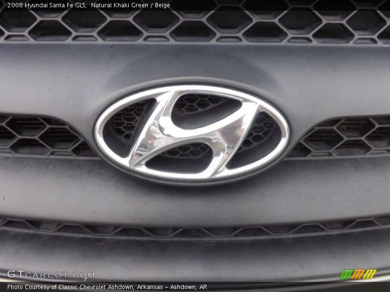 Natural Khaki Green / Beige 2008 Hyundai Santa Fe GLS