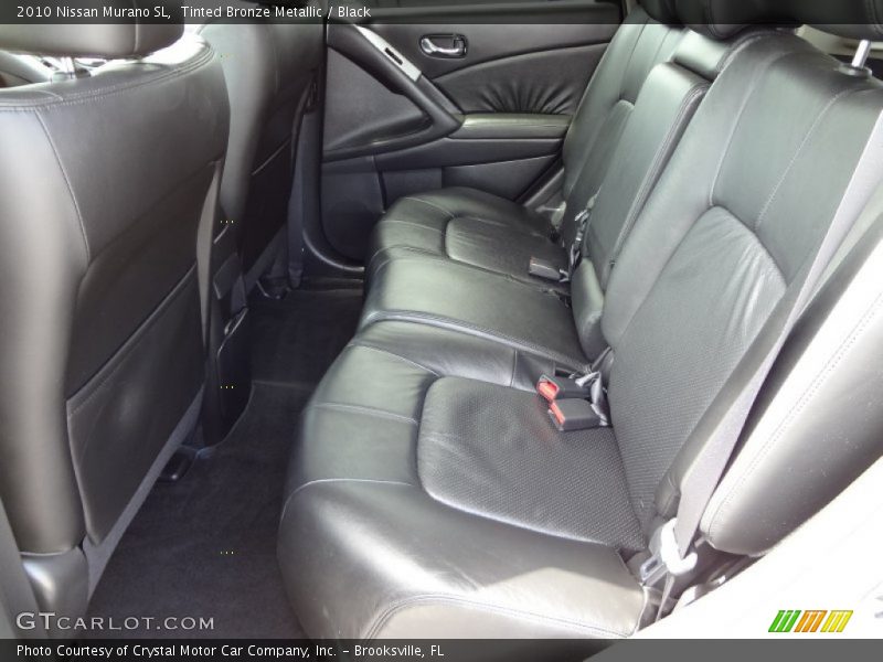Tinted Bronze Metallic / Black 2010 Nissan Murano SL