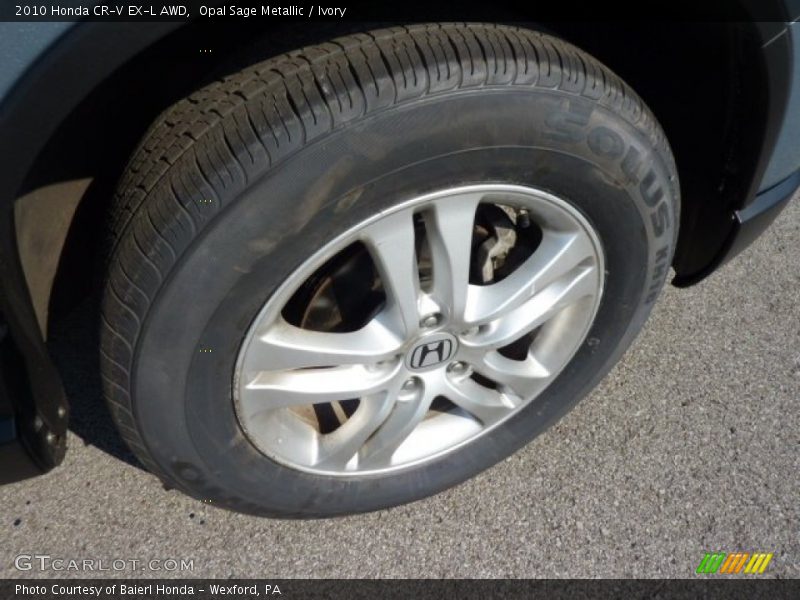 Opal Sage Metallic / Ivory 2010 Honda CR-V EX-L AWD