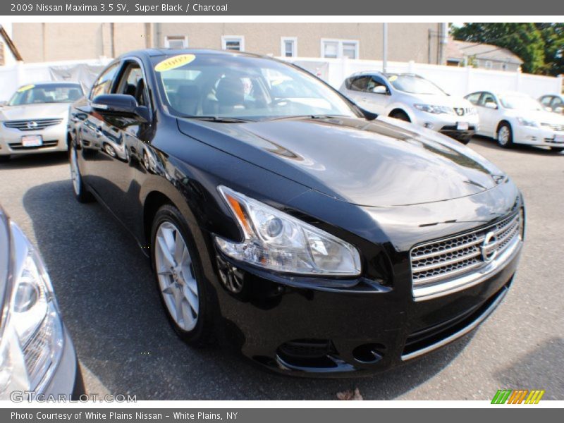Super Black / Charcoal 2009 Nissan Maxima 3.5 SV