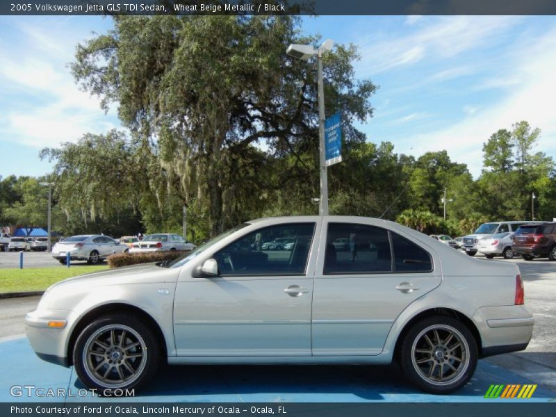 Wheat Beige Metallic / Black 2005 Volkswagen Jetta GLS TDI Sedan