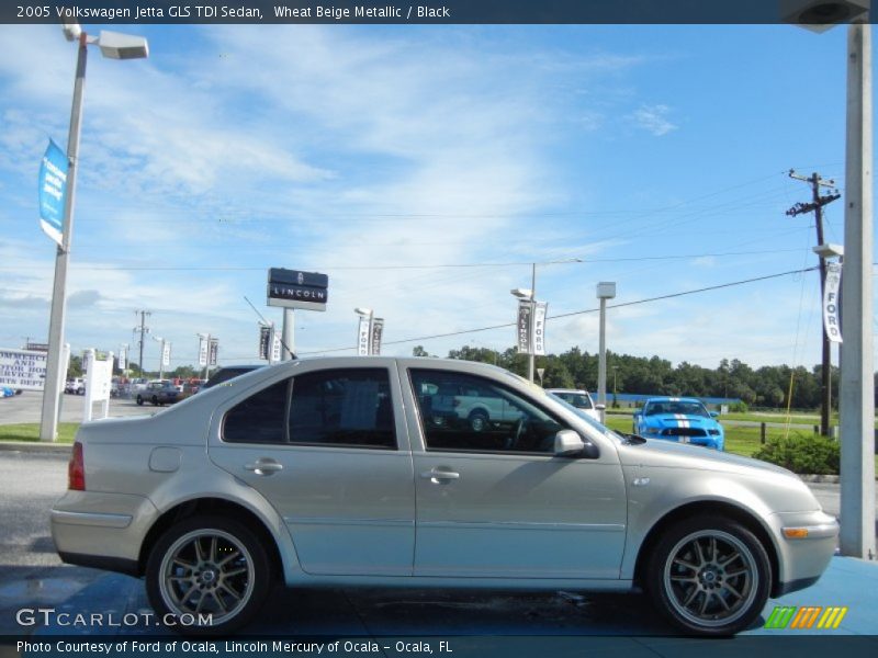 Wheat Beige Metallic / Black 2005 Volkswagen Jetta GLS TDI Sedan