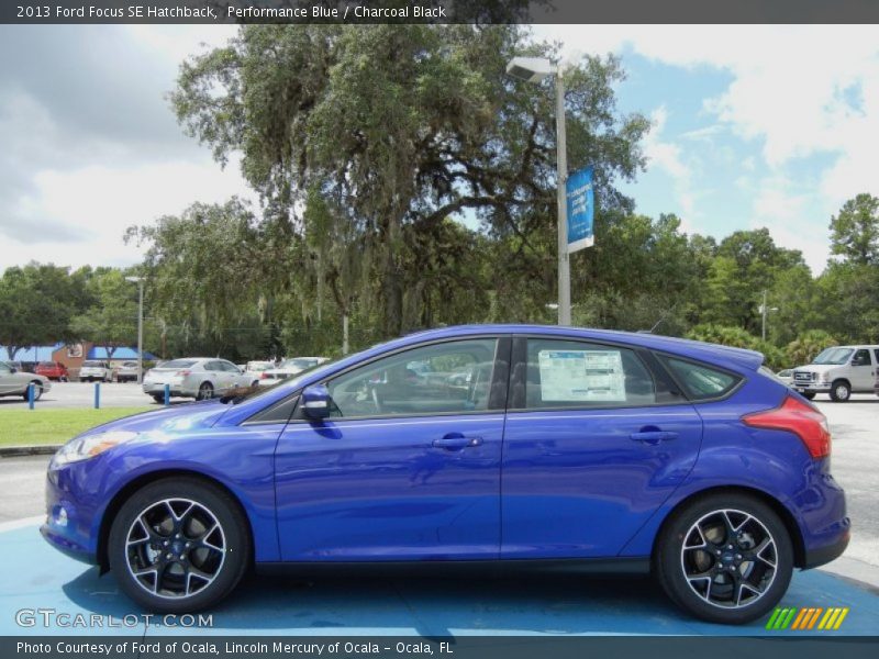  2013 Focus SE Hatchback Performance Blue