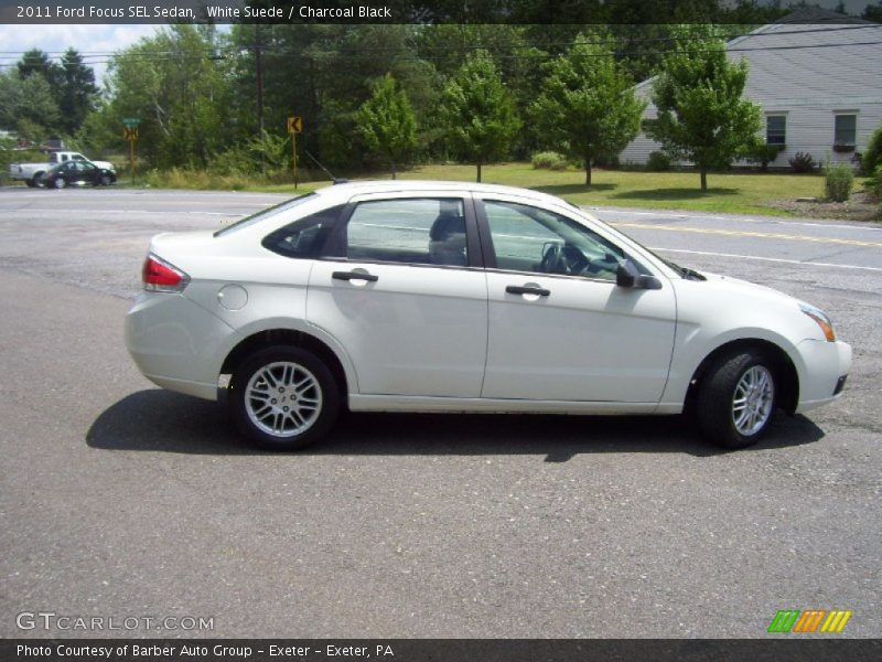 White Suede / Charcoal Black 2011 Ford Focus SEL Sedan