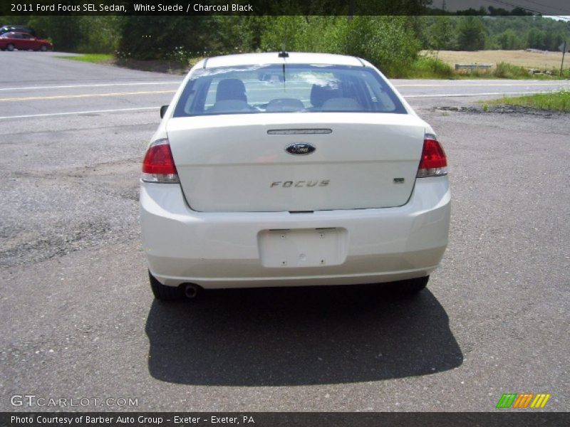 White Suede / Charcoal Black 2011 Ford Focus SEL Sedan