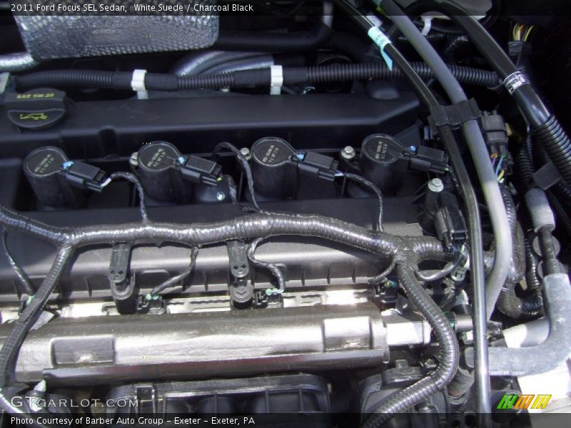 White Suede / Charcoal Black 2011 Ford Focus SEL Sedan