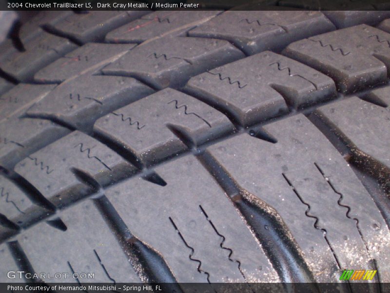 Dark Gray Metallic / Medium Pewter 2004 Chevrolet TrailBlazer LS