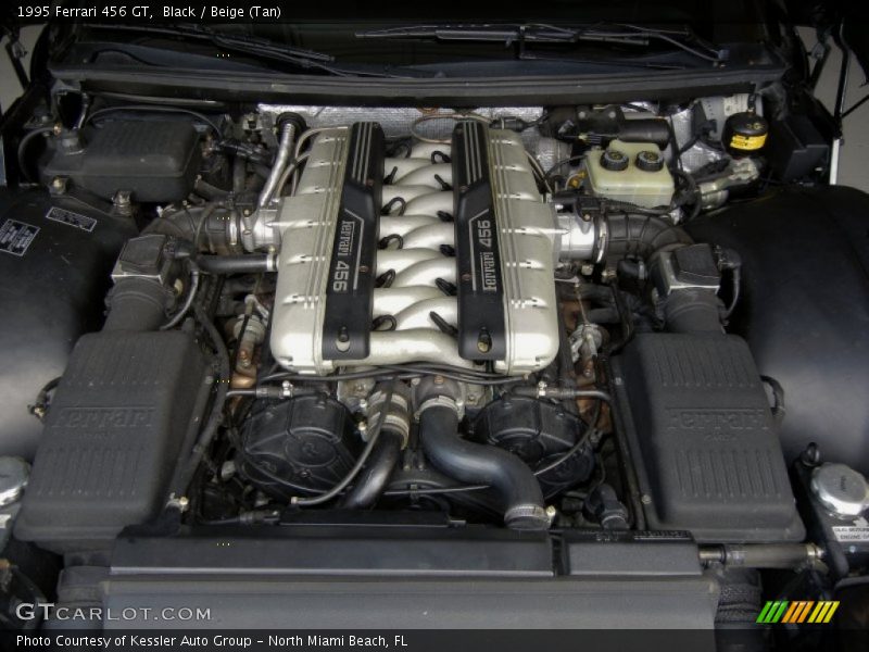  1995 456 GT Engine - 5.5 Liter DOHC 48-Valve V12