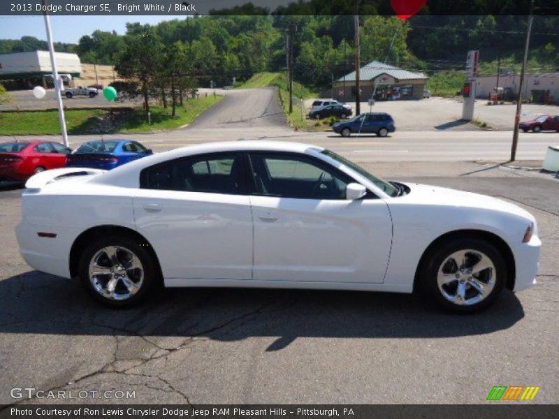 Bright White / Black 2013 Dodge Charger SE