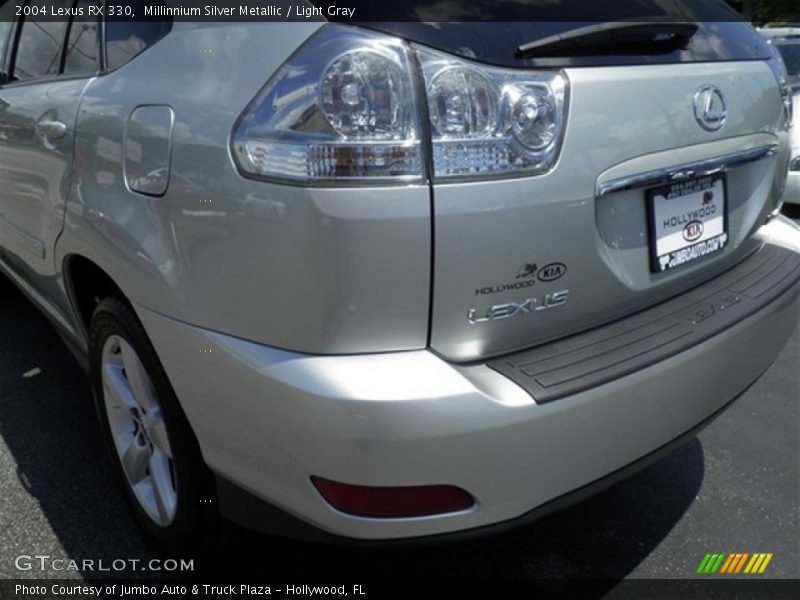 Millinnium Silver Metallic / Light Gray 2004 Lexus RX 330