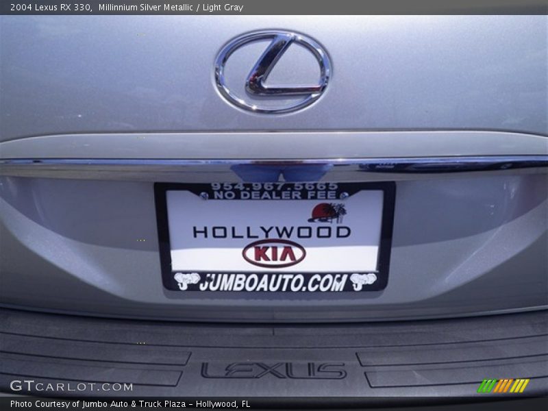 Millinnium Silver Metallic / Light Gray 2004 Lexus RX 330