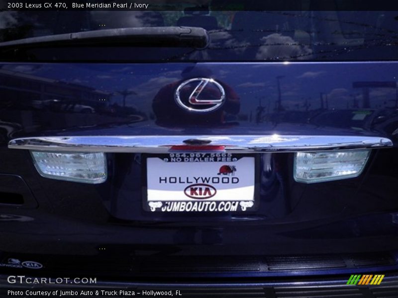 Blue Meridian Pearl / Ivory 2003 Lexus GX 470