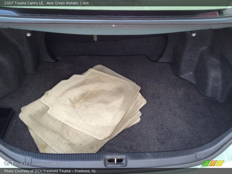 Aloe Green Metallic / Ash 2007 Toyota Camry LE