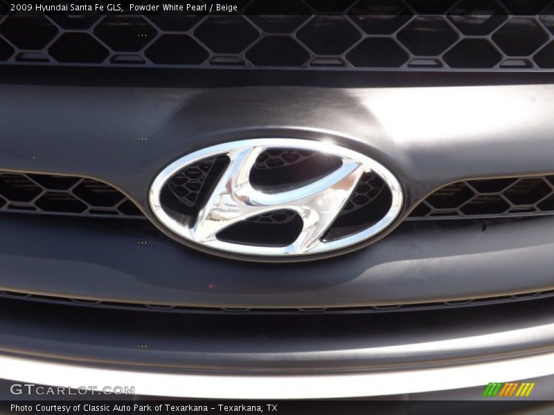 Powder White Pearl / Beige 2009 Hyundai Santa Fe GLS