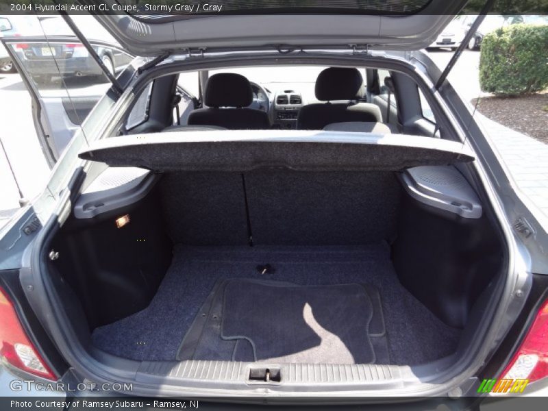 Stormy Gray / Gray 2004 Hyundai Accent GL Coupe
