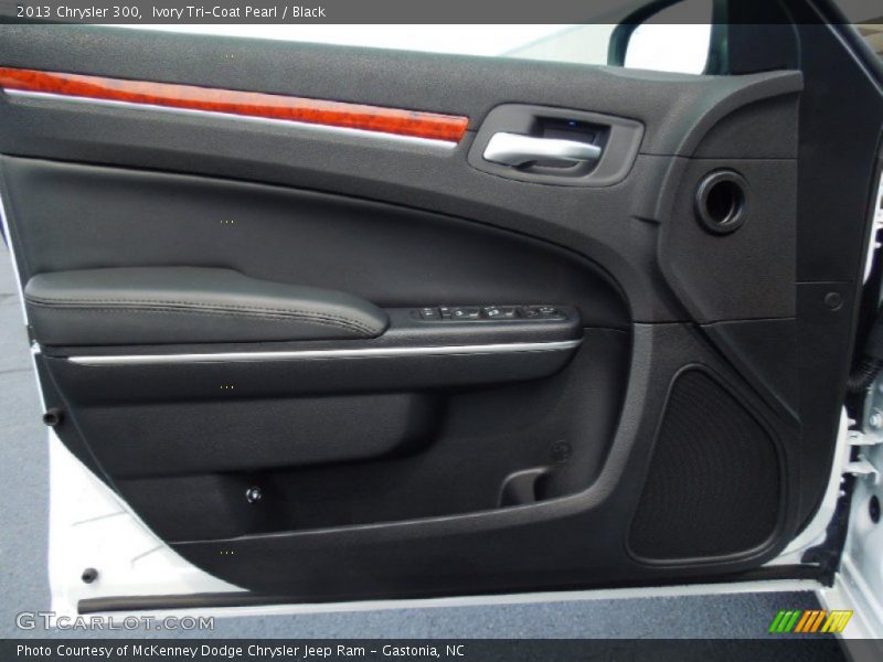 Door Panel of 2013 300 