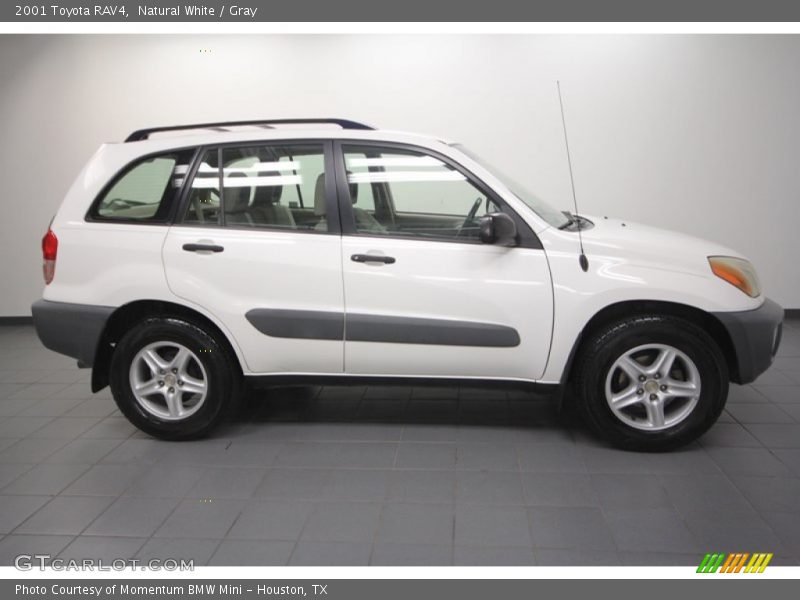 Natural White / Gray 2001 Toyota RAV4
