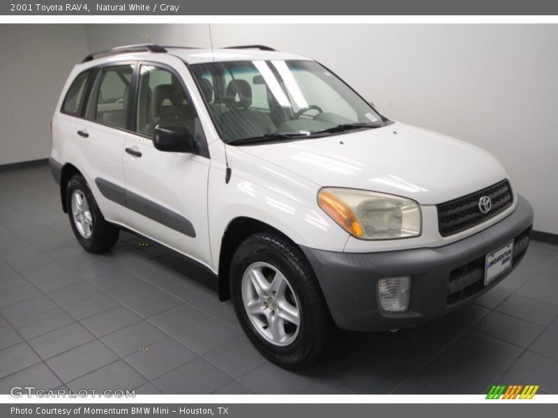 Natural White / Gray 2001 Toyota RAV4