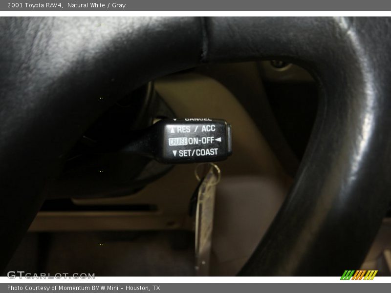 Natural White / Gray 2001 Toyota RAV4