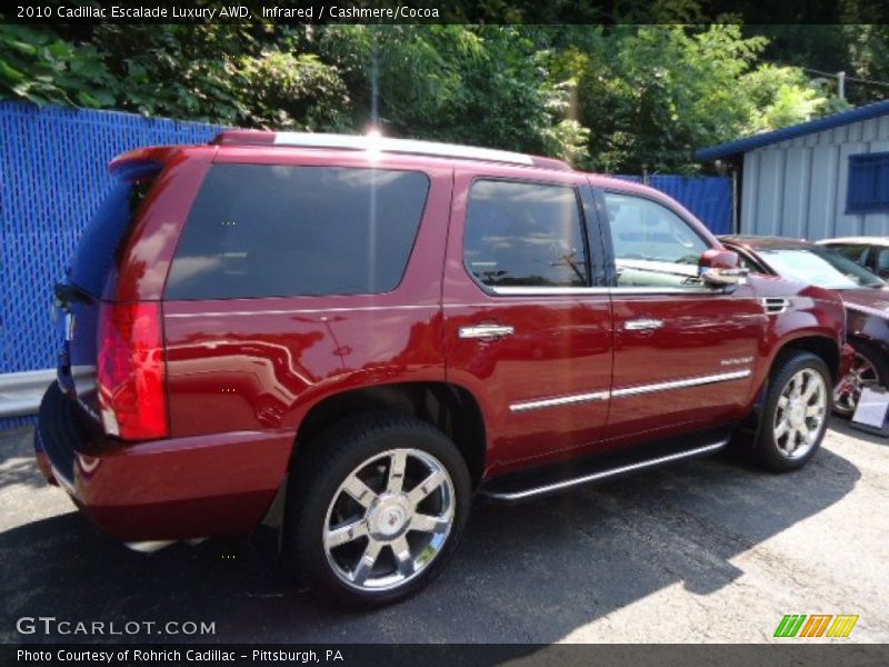 Infrared / Cashmere/Cocoa 2010 Cadillac Escalade Luxury AWD