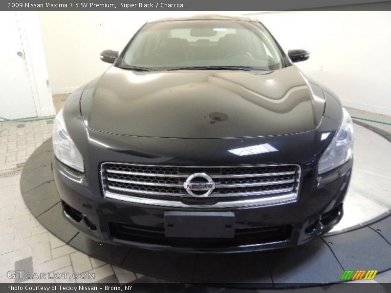 Super Black / Charcoal 2009 Nissan Maxima 3.5 SV Premium