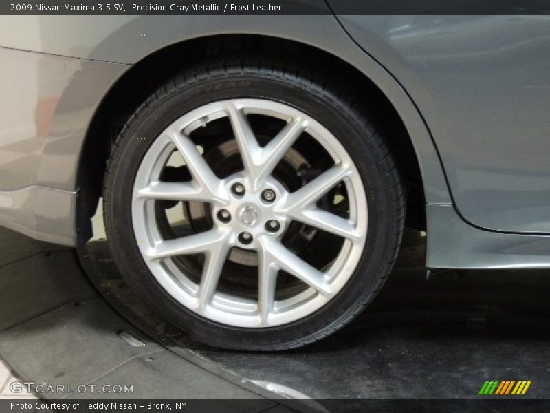 Precision Gray Metallic / Frost Leather 2009 Nissan Maxima 3.5 SV