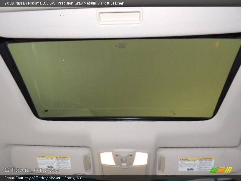 Precision Gray Metallic / Frost Leather 2009 Nissan Maxima 3.5 SV
