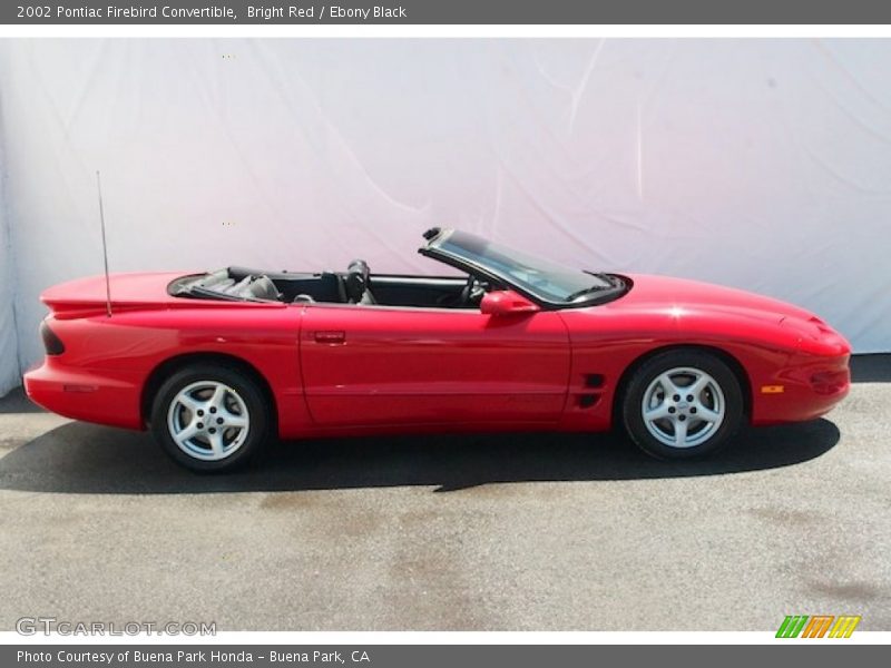 Bright Red / Ebony Black 2002 Pontiac Firebird Convertible