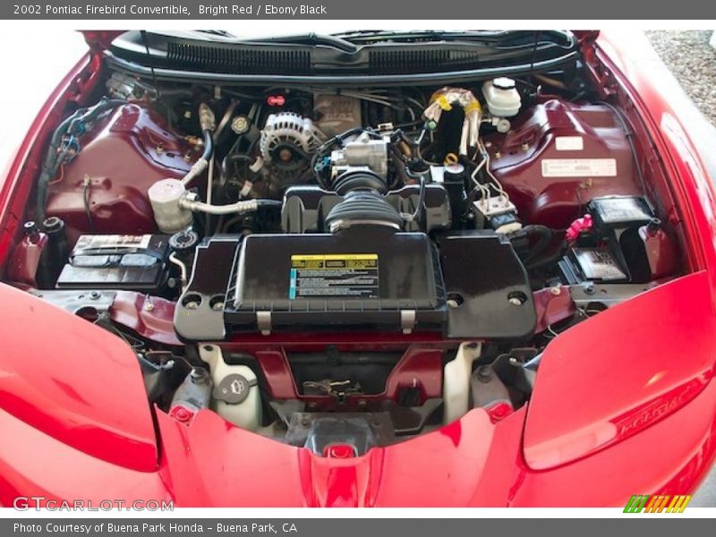Bright Red / Ebony Black 2002 Pontiac Firebird Convertible