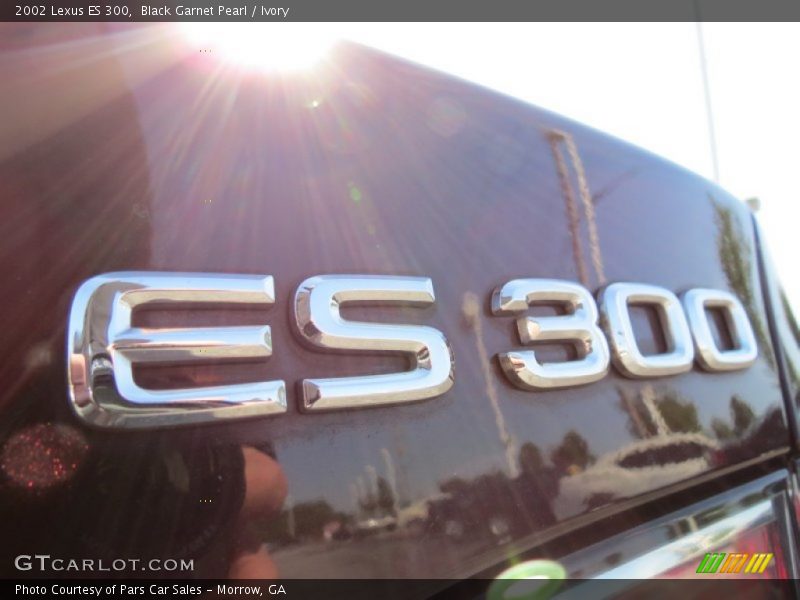 Black Garnet Pearl / Ivory 2002 Lexus ES 300