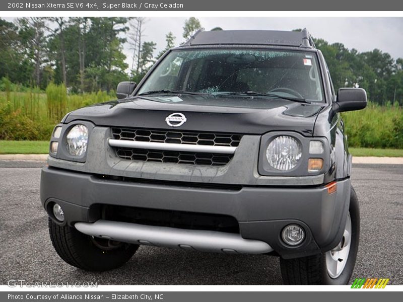 Super Black / Gray Celadon 2002 Nissan Xterra SE V6 4x4