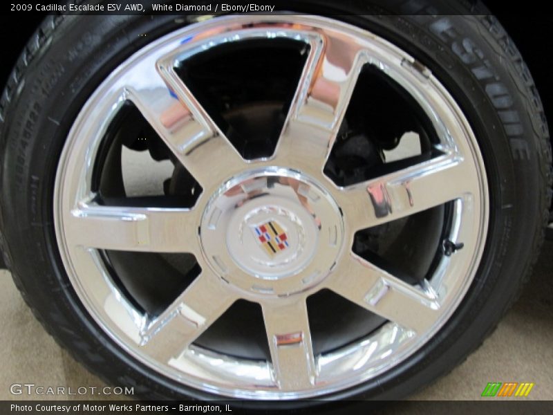 White Diamond / Ebony/Ebony 2009 Cadillac Escalade ESV AWD