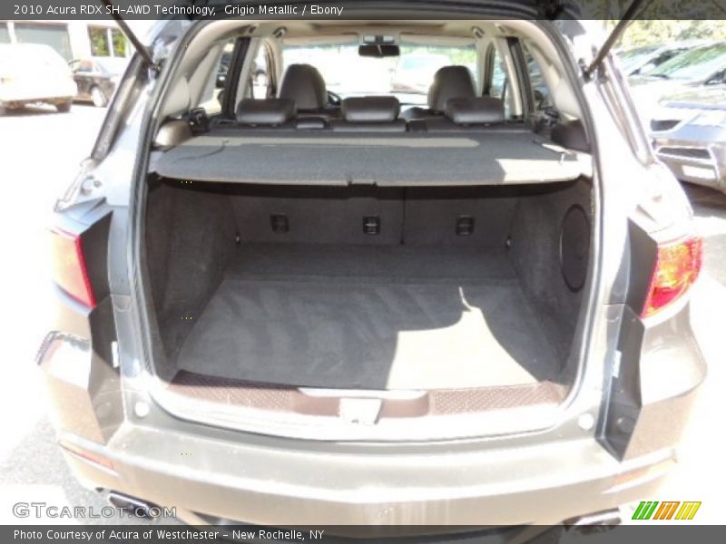 Grigio Metallic / Ebony 2010 Acura RDX SH-AWD Technology
