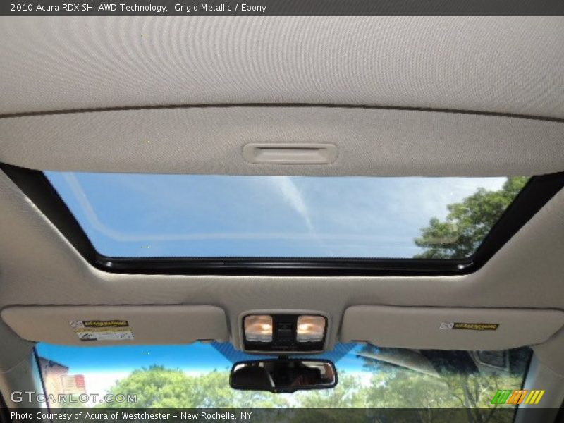 Grigio Metallic / Ebony 2010 Acura RDX SH-AWD Technology